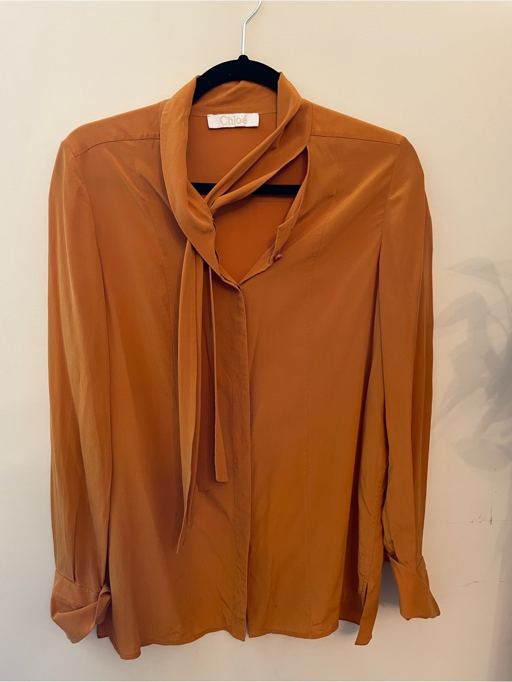 Chloe Long-Sleeve Tie-Neck Blouse in Burnt Orange